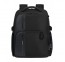 Kuprinė 14,1 colio kompiuteriui Samsonite Biz2Go Underseat 158708 Juoda