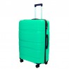 Liels koferis Gravitt PP002-D green